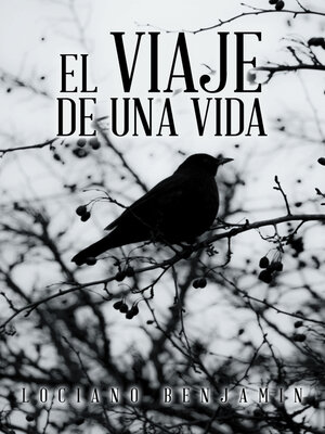 cover image of El Viaje De Una Vida